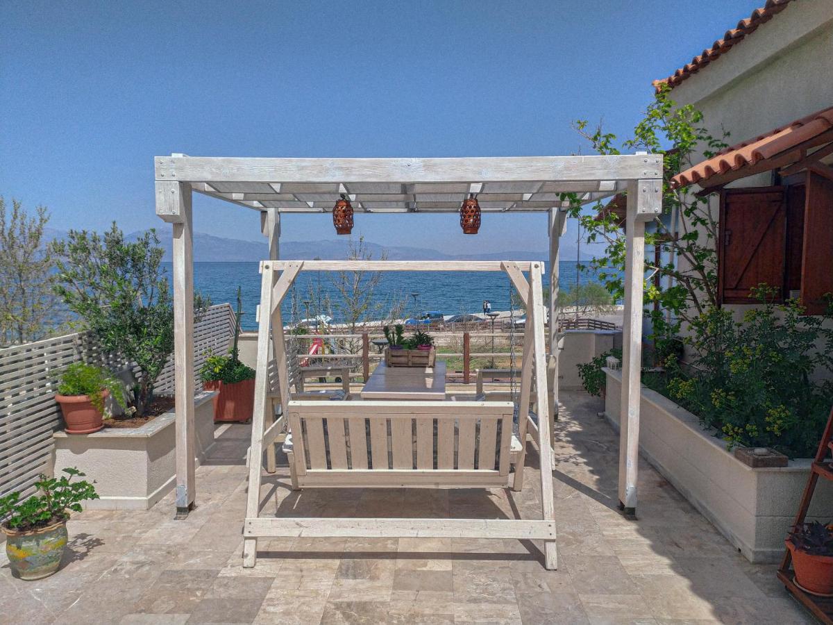 Sea View Roof Garden Apartment Kiaton Exterior photo