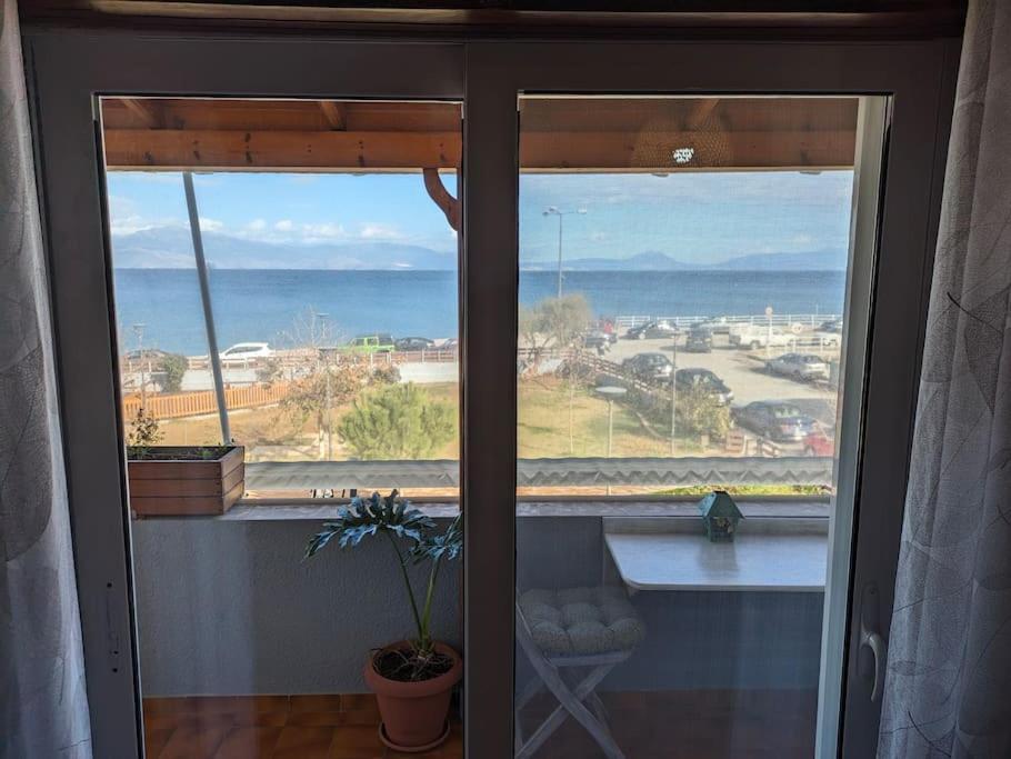 Sea View Roof Garden Apartment Kiaton Exterior photo